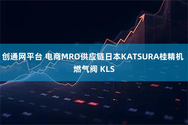 创通网平台 电商MRO供应链日本KATSURA桂精机 燃气阀 KLS