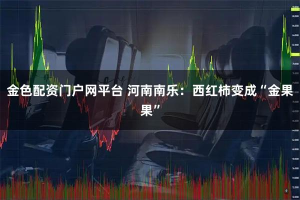 金色配资门户网平台 河南南乐：西红柿变成“金果果”