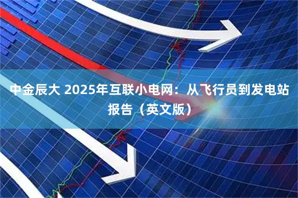 中金辰大 2025年互联小电网：从飞行员到发电站报告（英文版）