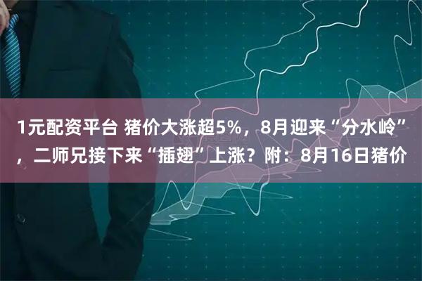 1元配资平台 猪价大涨超5%，8月迎来“分水岭”，二师兄接下来“插翅”上涨？附：8月16日猪价